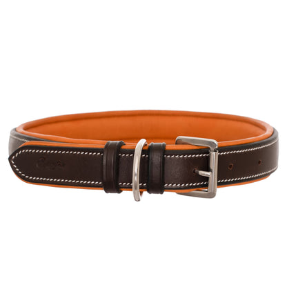 ExionPro Fancy Stitched Padded Leather Dog Collar - Conker Padding