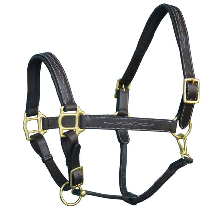 ExionPro Fancy Stitched Halter - Brass Hardware