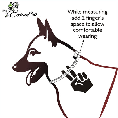 ExionPro Fancy Stitched Padded Leather Dog Collar - Conker Padding