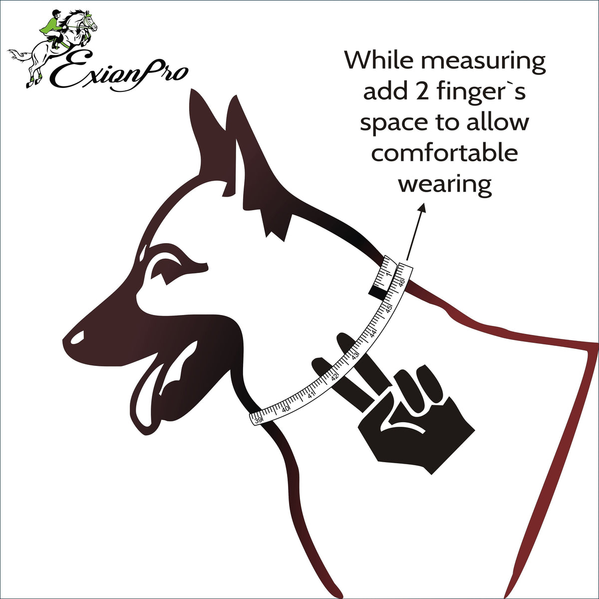 ExionPro Fancy Stitched Padded Leather Dog Collar - Oak Brown Padding